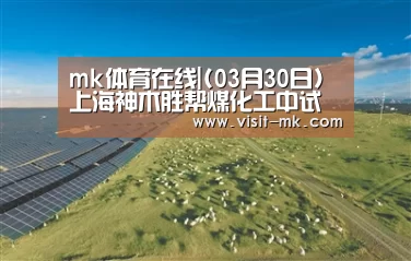 mk体育在线|(03月30日)上海神木胜帮煤化工中试基地开工(图3) mk体育下载