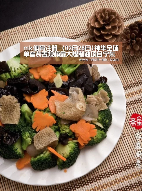 mk体育注册-(02月28日)神华全球单套装置规模最大煤制油项目宁东开建(图1) mk体育注册