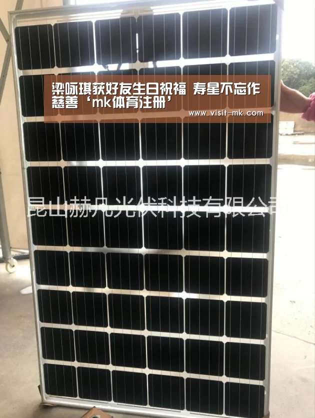 梁咏琪获好友生日祝福 寿星不忘作慈善‘mk体育注册’(图2) mk体育下载
