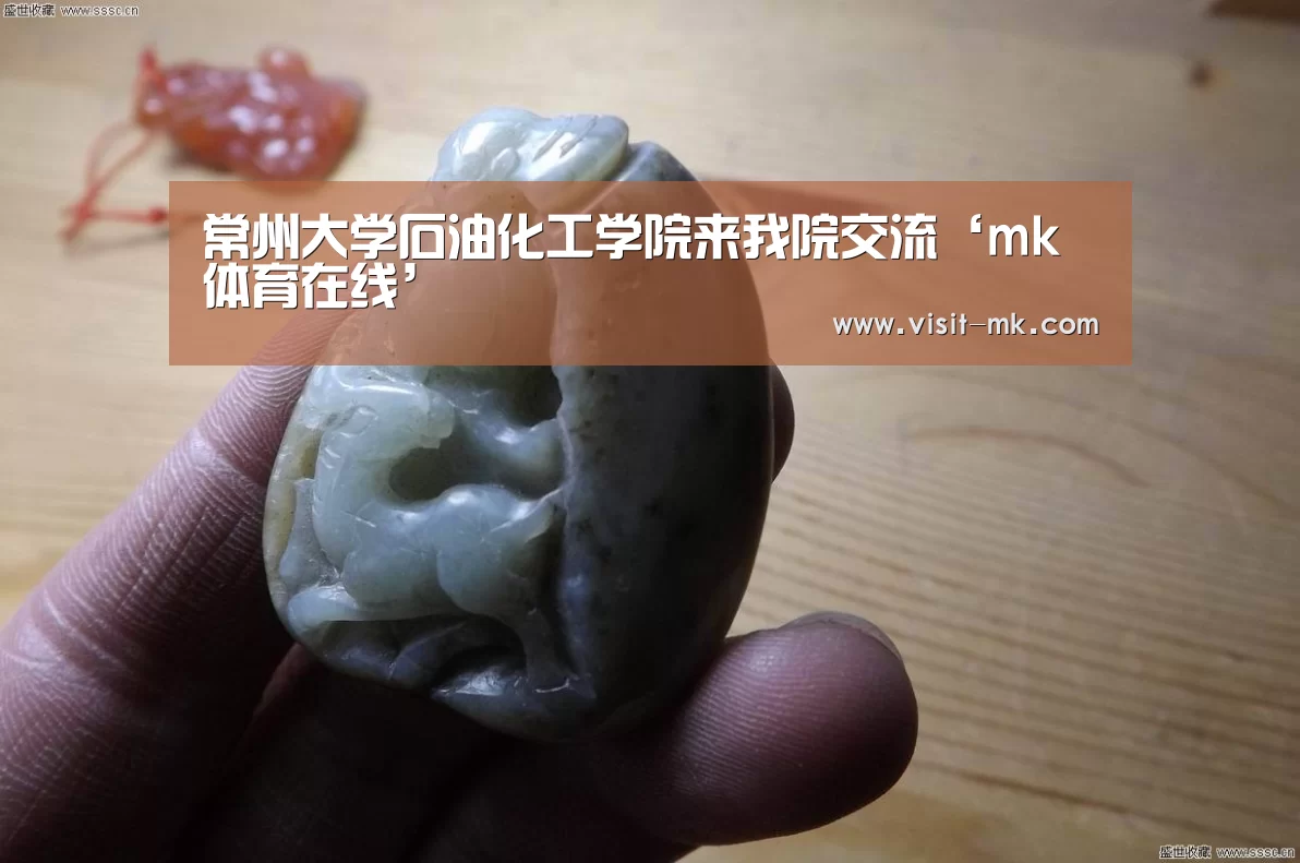 常州大学石油化工学院来我院交流‘mk体育在线’(图2) mk体育下载