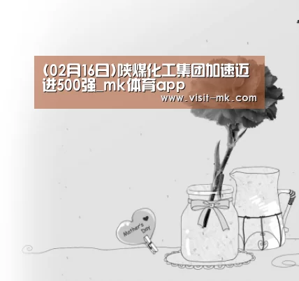 (02月16日)陕煤化工集团加速迈进500强_mk体育app(图3) mk体育下载