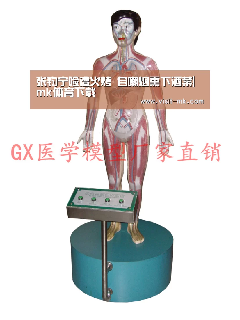 mk体育注册