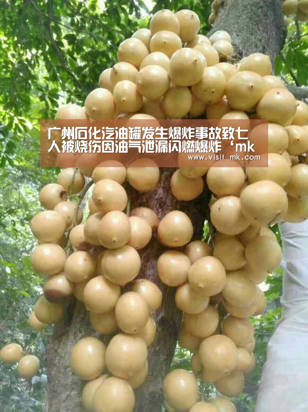 广州石化汽油罐发生爆炸事故致七人被烧伤因油气泄漏闪燃爆炸‘mk体育在线’(图2) mk体育在线